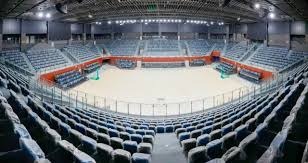 迈克·特劳特关键安打助球队取胜